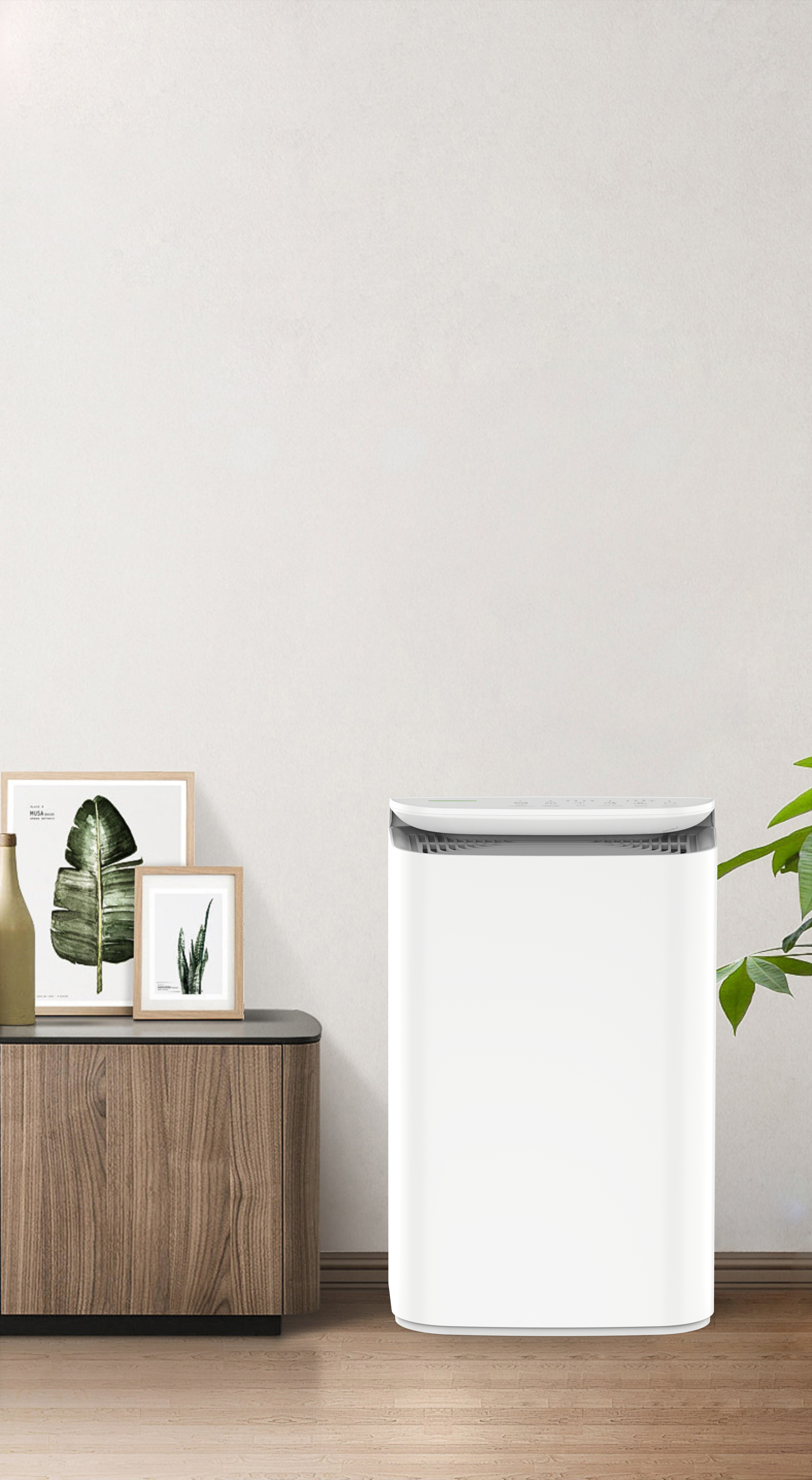 Aggiorna la tecnologia anionica fresca respiro della foresta bkj-16b