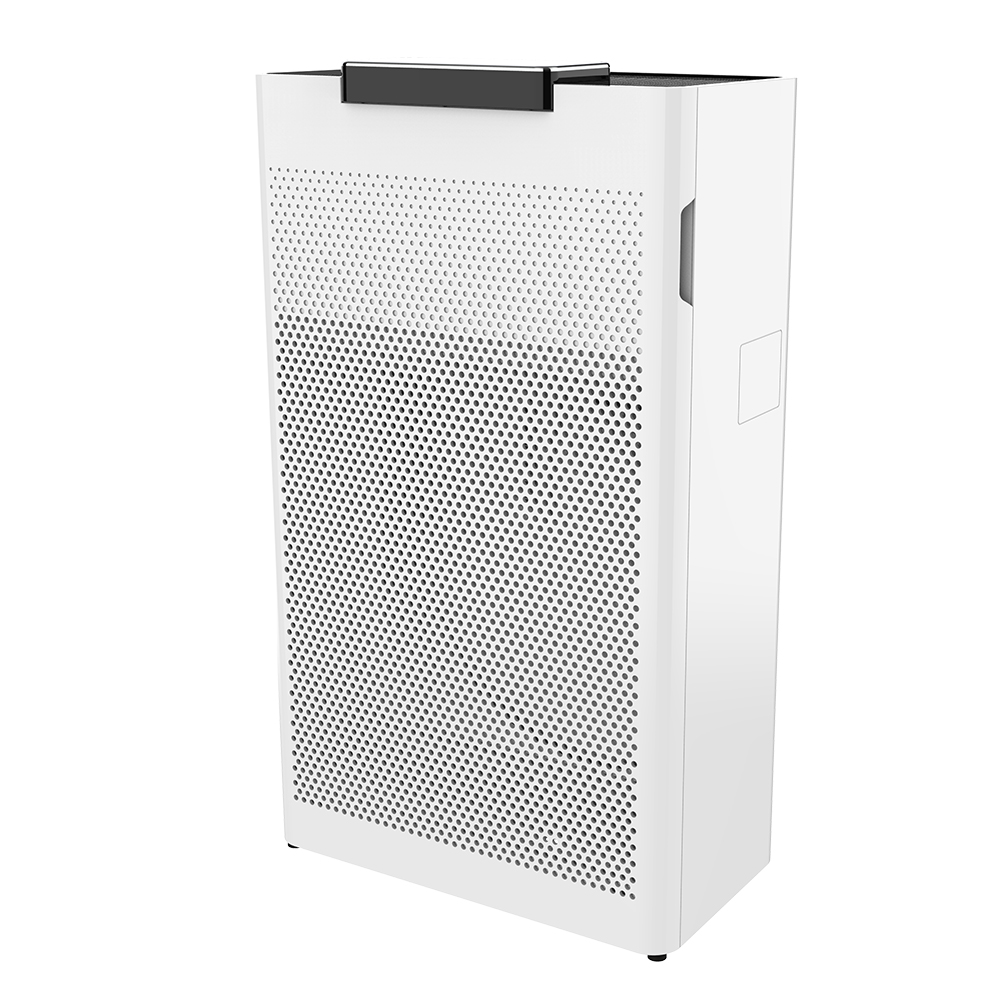 Rimuovi meglio la formaldeide, goditi l'aria fresca la maggior parte del BKJ-20g