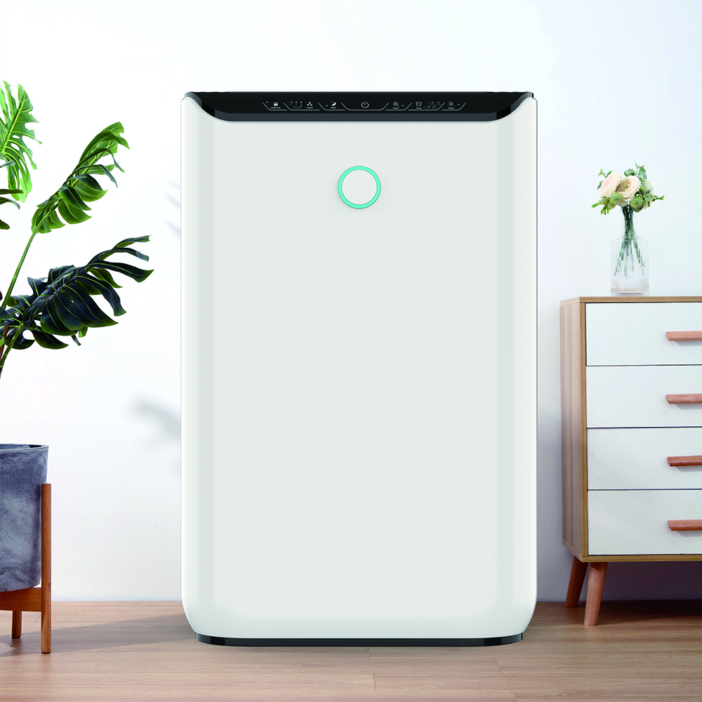 Rimuovi meglio la formaldeide, goditi l'aria fresca la maggior parte del BKJ-370