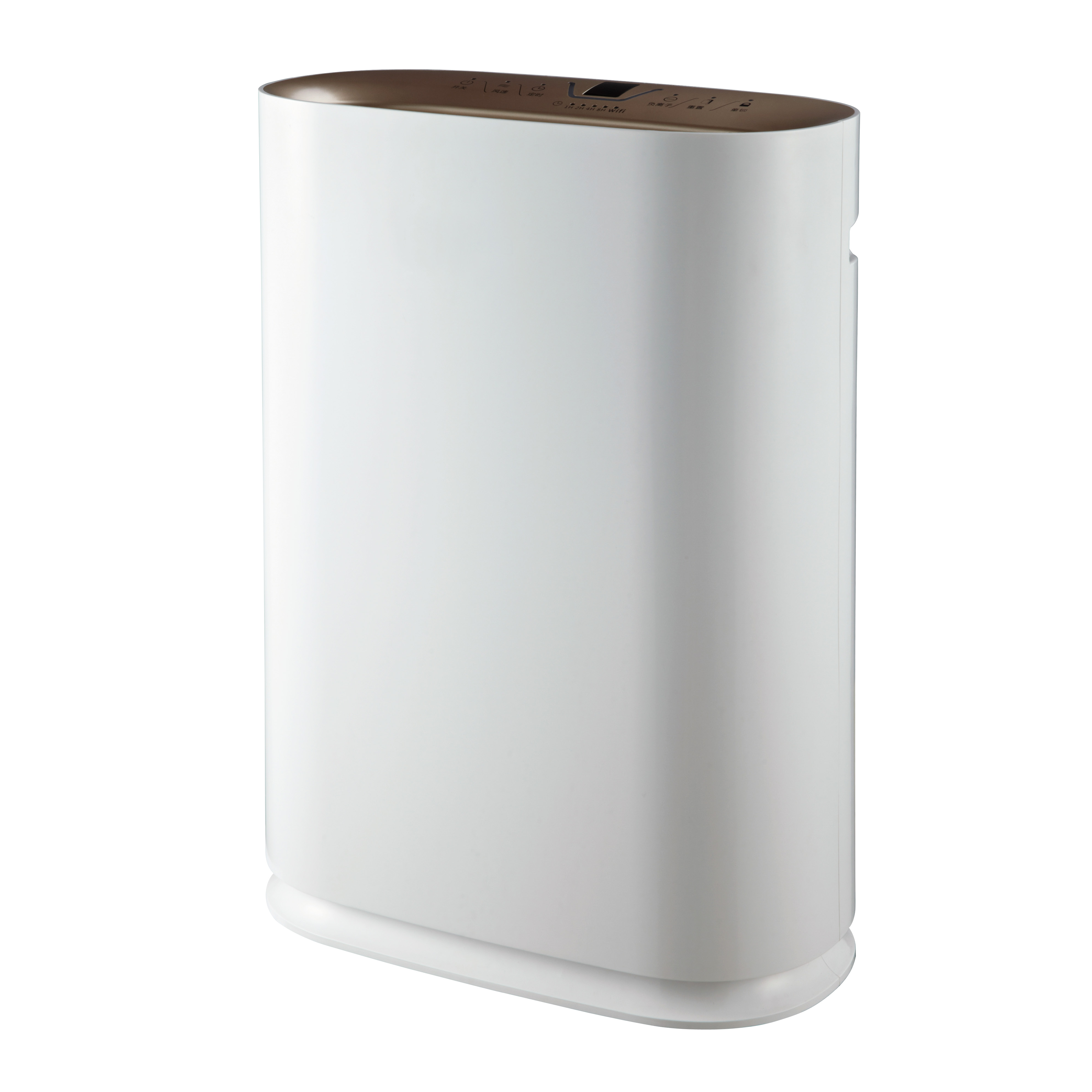 Rimuovi meglio la formaldeide, goditi l'aria fresca la maggior parte del BKJ-300