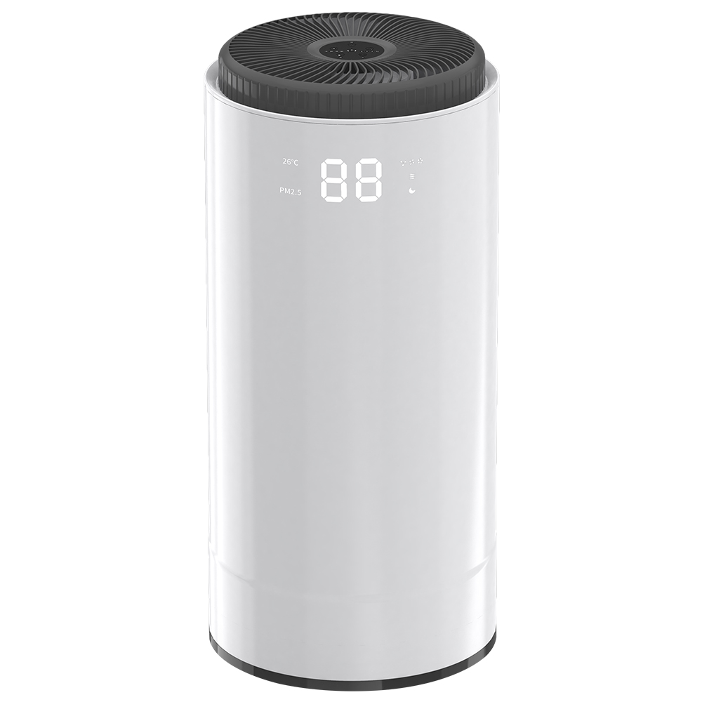 Rimuovi meglio la formaldeide, goditi l'aria fresca la maggior parte del BKJ-50G