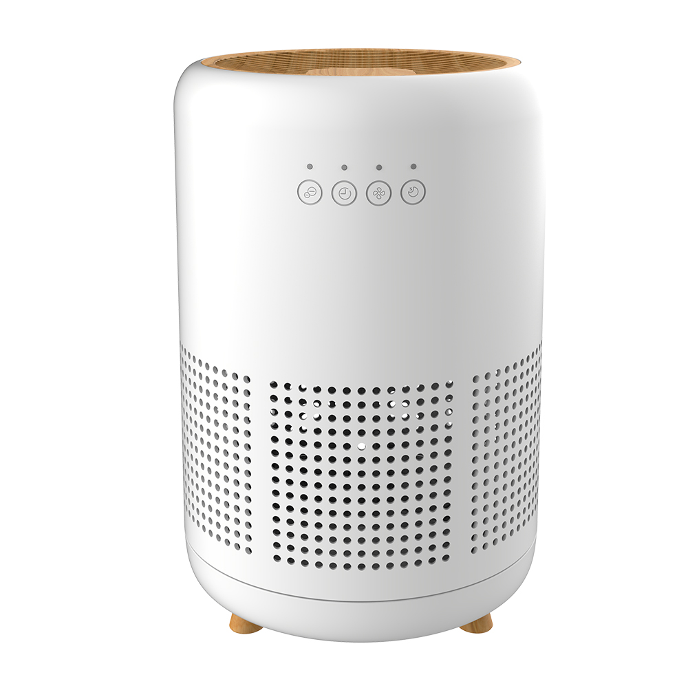 Rimuovi la formaldeide, goditi l'aria fresca BKJ-22H