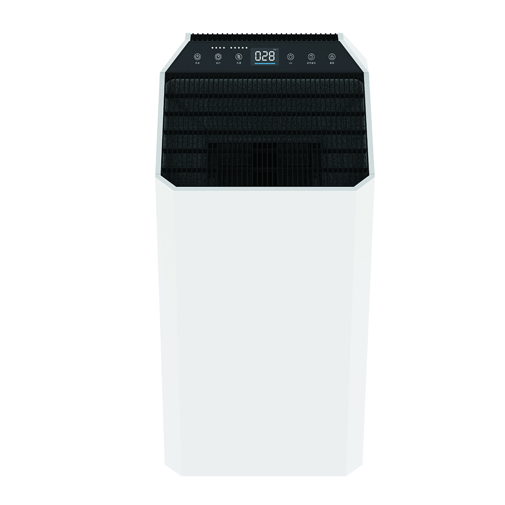 Rimuovi meglio la formaldeide, goditi l'aria fresca la maggior parte del BKJ-90C