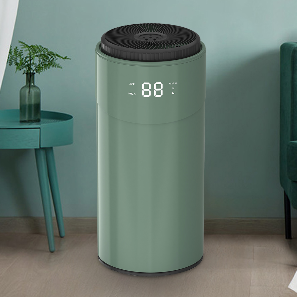 Rimuovi meglio la formaldeide, goditi l'aria fresca più bkj_50e