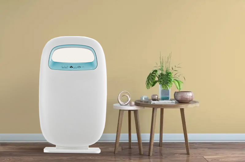 Rimuovi meglio la formaldeide, goditi l'aria fresca la maggior parte del BK-03