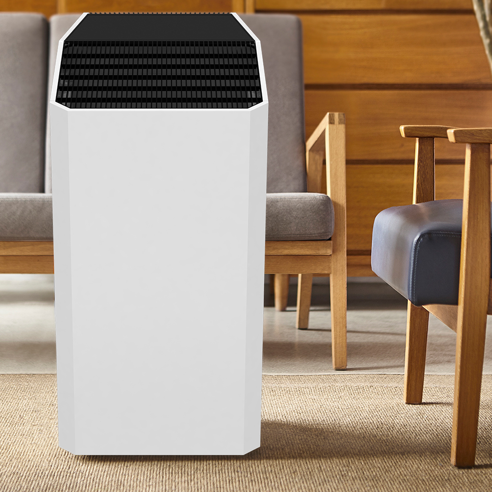 Rimuovi meglio la formaldeide, goditi l'aria fresca la maggior parte del BKJ-90C