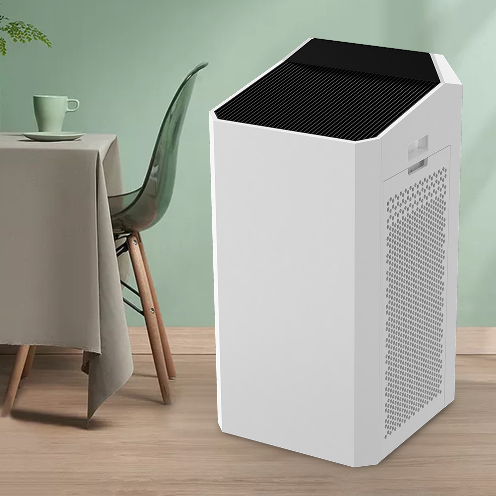 Hai bisogno di un purificatore d'aria? 7 segni che lo fai, benefici per la salute e consigli per l'acquisto