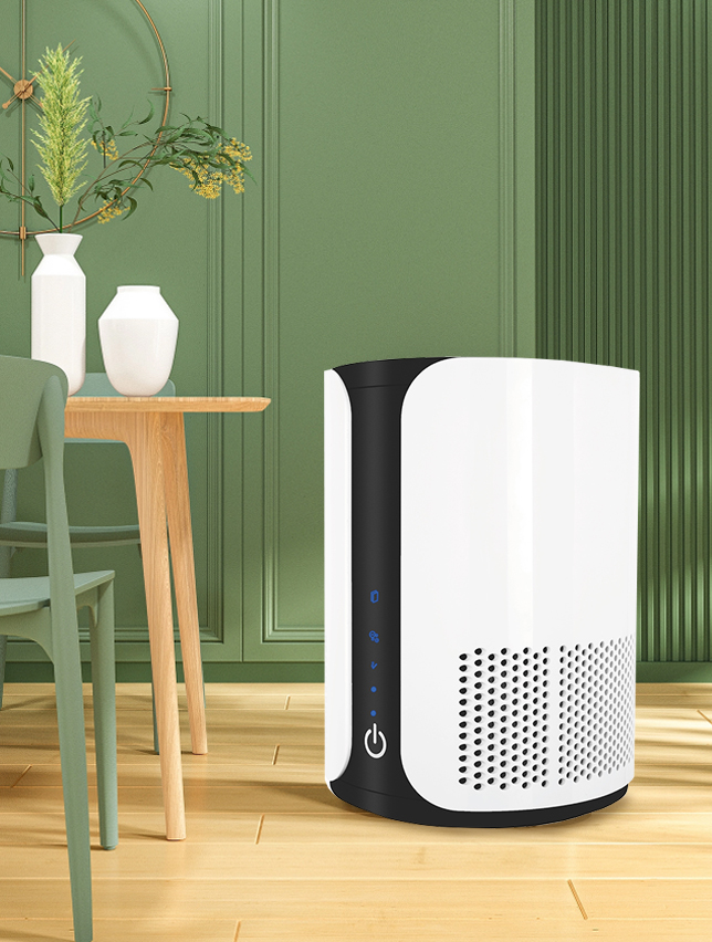 Rimuovi meglio la formaldeide, goditi l'aria fresca la maggior parte del BKJ-15